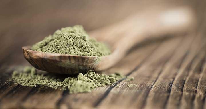 cukorbetegség kezelésére fű stevia